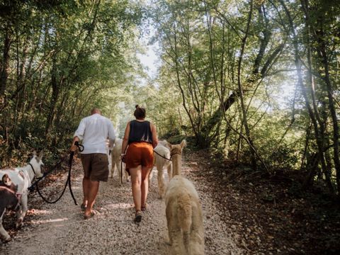 Vodatent Camping Sensazione - Ancône