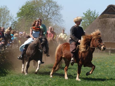 Ribe Byferie Resort - Danemark du Sud - Image N°21