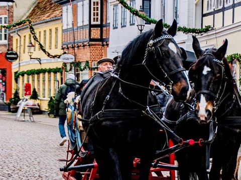 Ribe Byferie Resort - Danemark du Sud - Image N°20
