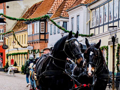 Ribe Byferie Resort - Danemark du Sud - Image N°24