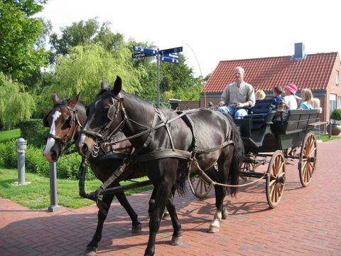 Ribe Byferie Resort - Danemark du Sud - Image N°23