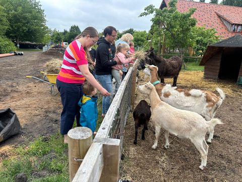 Zomers Buiten - Pekela - Image N°3