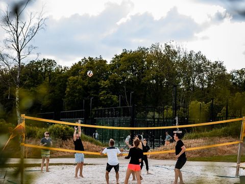 Glamping Durbuy Greenfields - Luxembourg