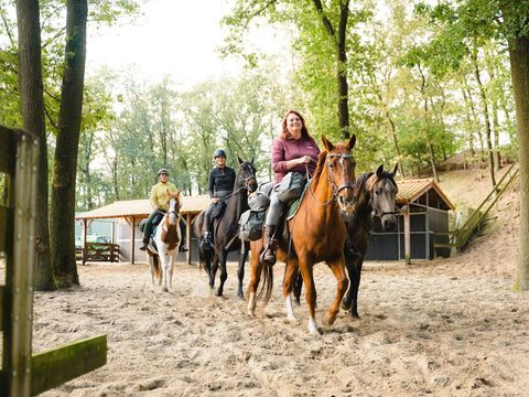 Vakantiepark Sandberghe - Uden - Image N°7