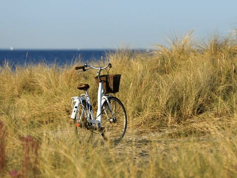 Waterhuisjes Uitgeest - Uitgeest - Image N°18