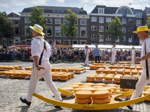 Waterhuisjes Uitgeest - Uitgeest - Image N°23