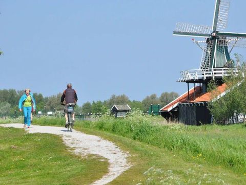 Waterhuisjes Uitgeest - Uitgeest - Image N°16