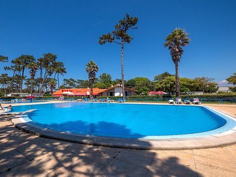 Camping Angeiras - Nord du Portugal