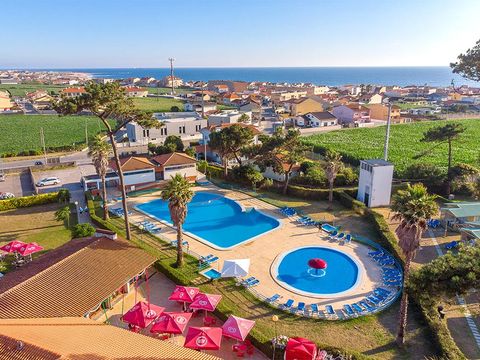Camping Angeiras - Nord du Portugal