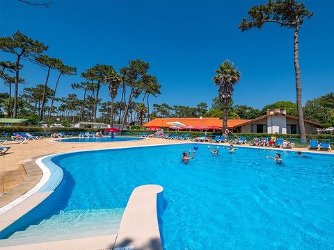 Camping Angeiras - Nord du Portugal