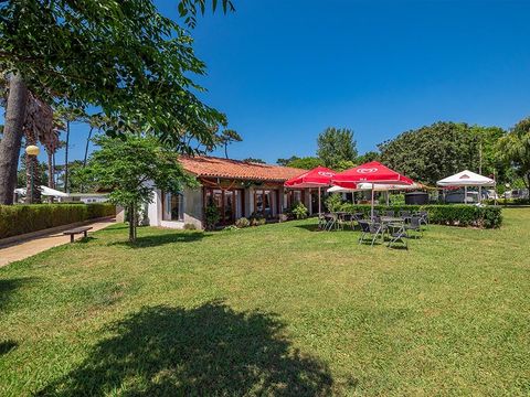 Camping Angeiras - Nord du Portugal