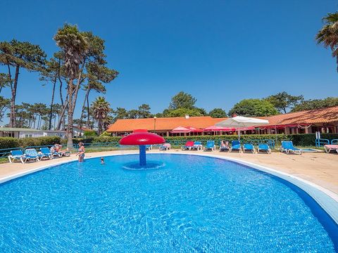 Camping Angeiras - Nord du Portugal