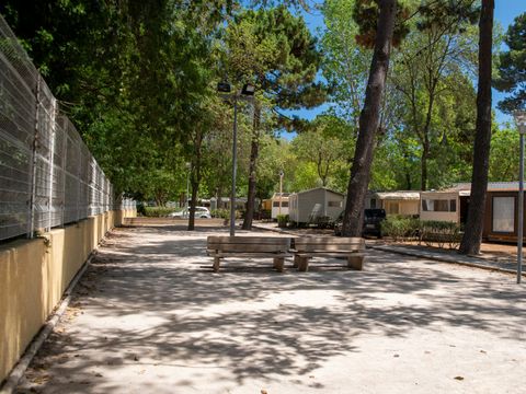 Camping Club Le Littoral 5* - MS VACANCES - Pyrénées-Orientales