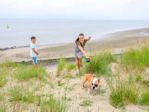 Camping Scheldeoord - Borsele - Image N°32