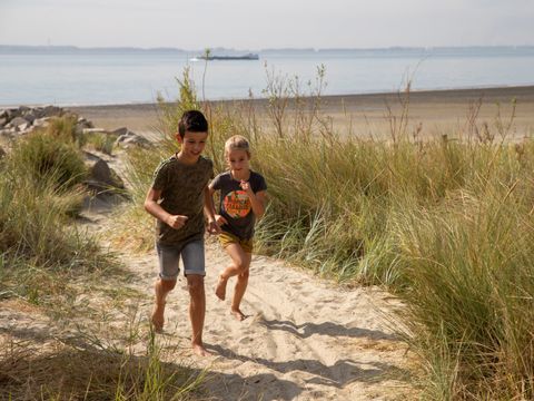 Camping Scheldeoord - Borsele - Image N°2