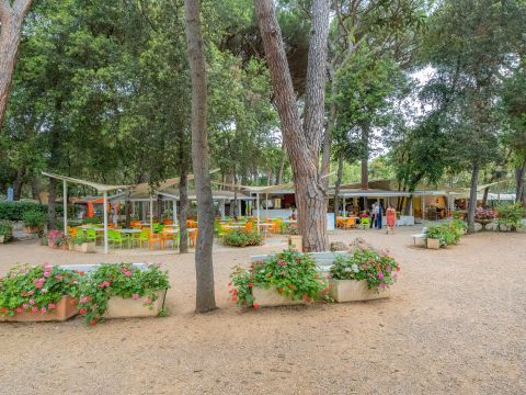 Camping Etruria - Livourne