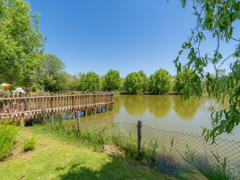 Camping Etruria - Livourne