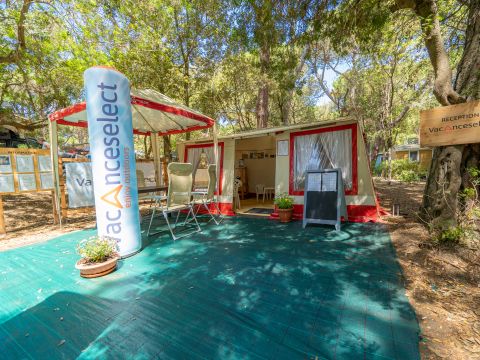 Camping Etruria - Livourne