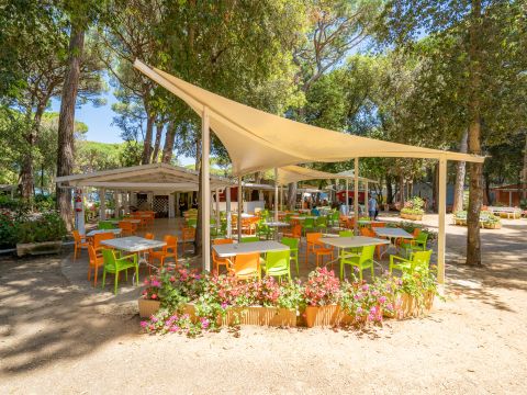 Camping Etruria - Livourne
