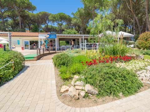 Camping Etruria - Livourne