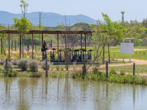 Camping Etruria - Livourne