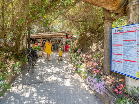 Camping Etruria - Livourne