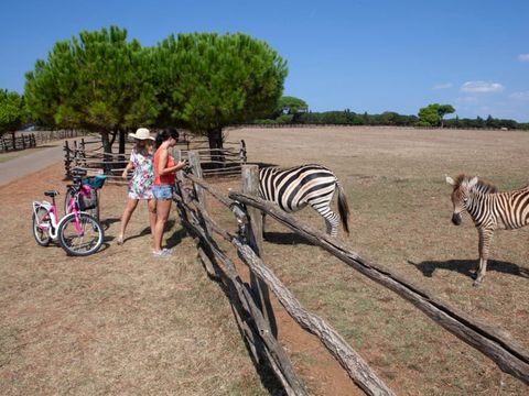 Camping Bi Village  - Istrie