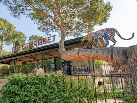 Camping Castell Montgri - Gérone