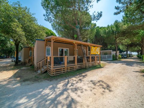 Camping Waikiki - Venise