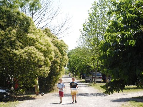 Camping Durance Luberon - Bouches-du-Rhône