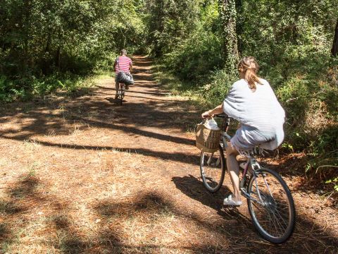 Pineta Family Camping Village - Ravenne