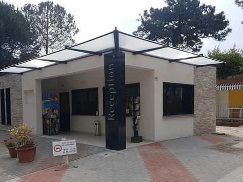 Pineta Family Camping Village - Ravenne