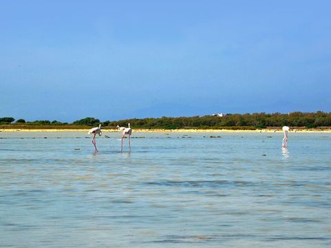 Camping Bella Sardinia - Oristano