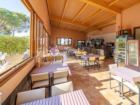 Camping Internacional Palamos - Gérone