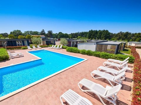 Camping Kastanija - Istrie