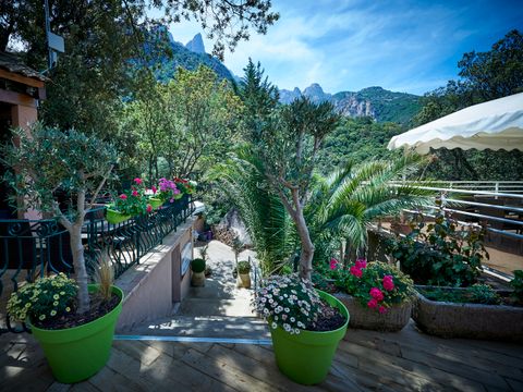 Camping Les Oliviers - Corse du Sud