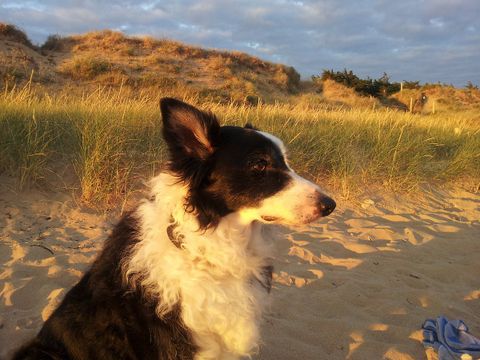 product_property.services