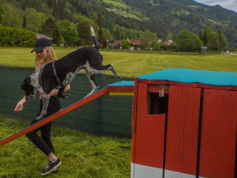 Camping Bella Austria - Styrie