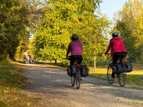 Camping Kanopée Village  - Ain