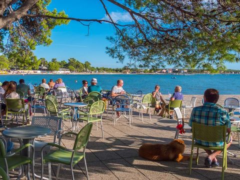 Camping Zaton - Zadar