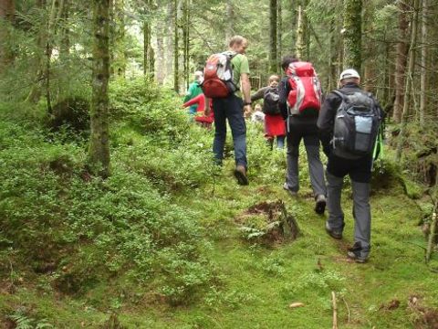 Camping Sites et Paysages - Au Clos de la Chaume - Vosges