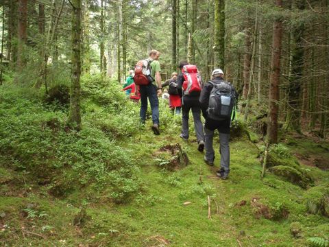 Camping Sites et Paysages - Au Clos de la Chaume - Vosges