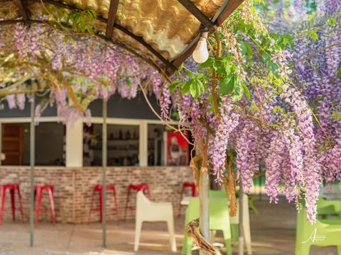 Camping U Casone - Corse du Nord