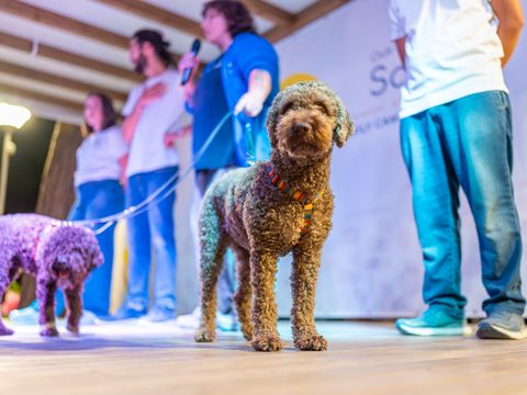 Marina Romea Easy Camping Village - Ravenne