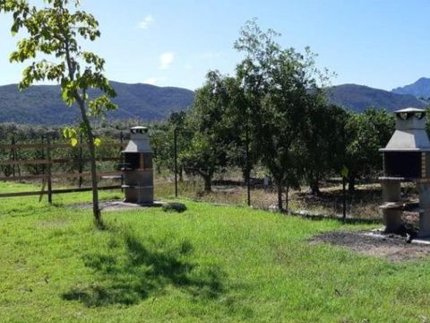 Camping La Naranja - Valence