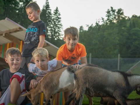 Kleinenzhof Family Resort - Bade-Wurtemberg - Image N°2