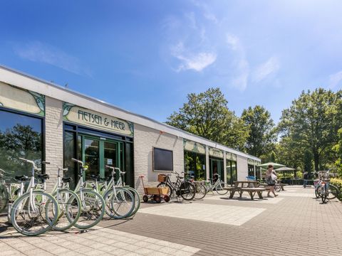 Vakantiepark de Bergen - Sint Anthonis - Image N°35