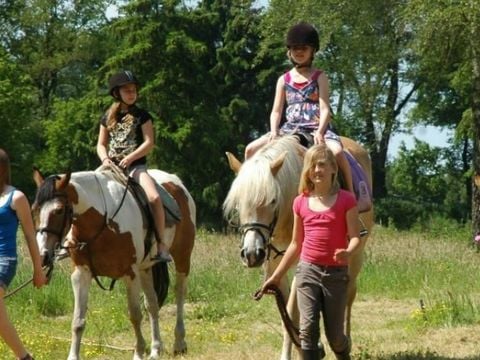 Village vacances Recreatielandgoed De IJsvogel - Barneveld