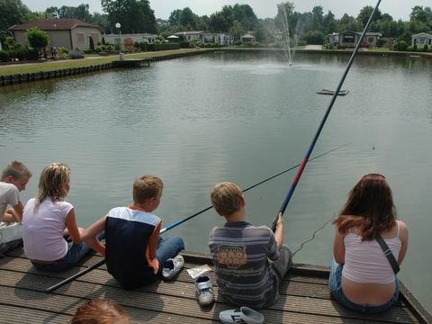 Village vacances Recreatielandgoed De IJsvogel - Barneveld