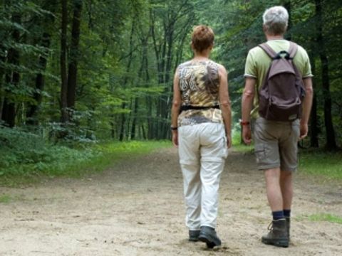 Camping Wilhelm Tell - Limburg Belge